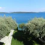 Mare *